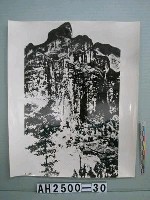 藏品(雁蕩鳳凰山絕壁照片)的圖片